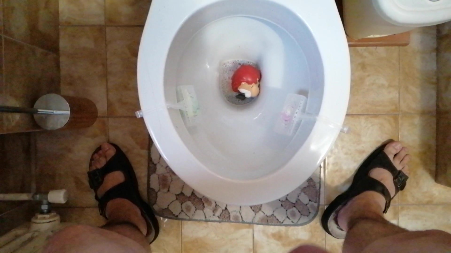 A rubber lion toy Vs toilet