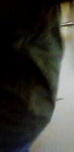 Ain\