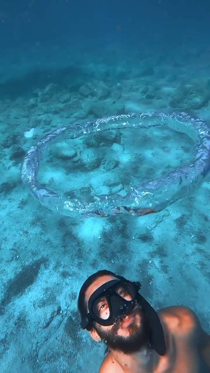 Underwater cutie swimming through bubble ring