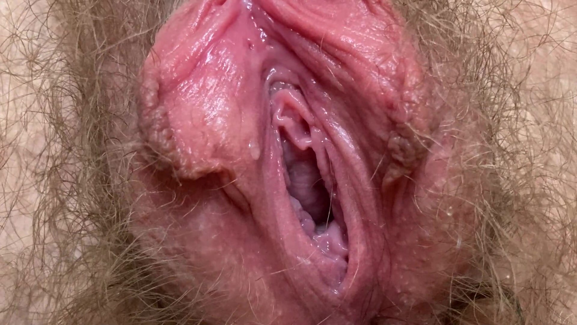 Beautiful hairy cunt