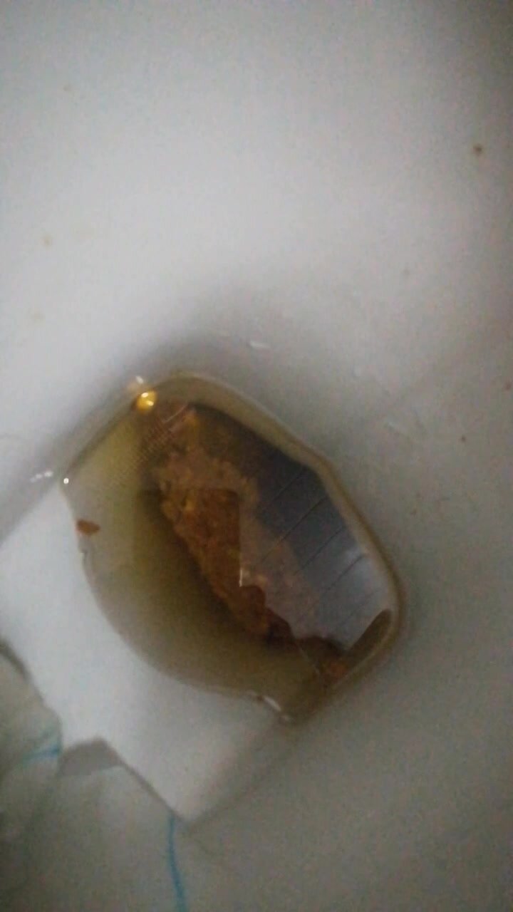 Flush toilet surprise poop from my fat girlfriend