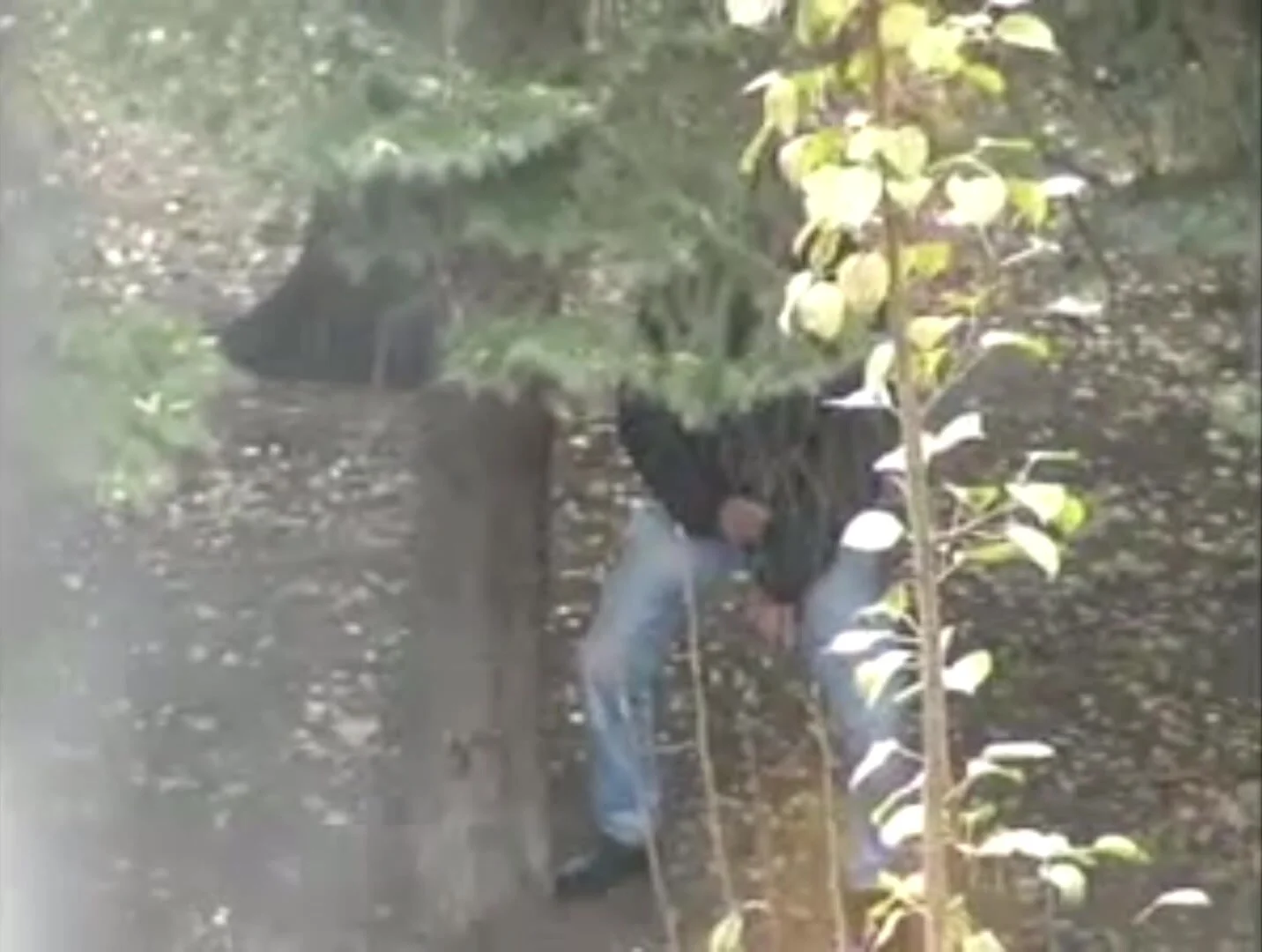 Caught wanking in the woods