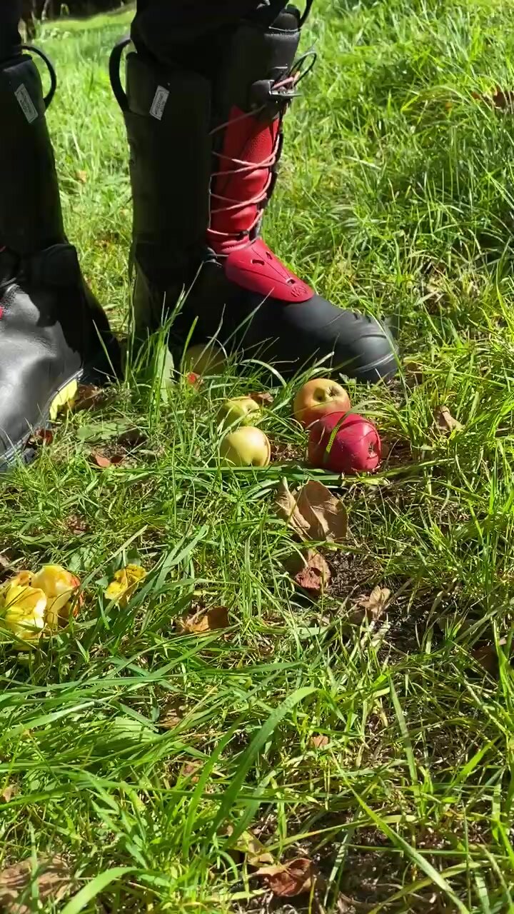 Haix crush apples