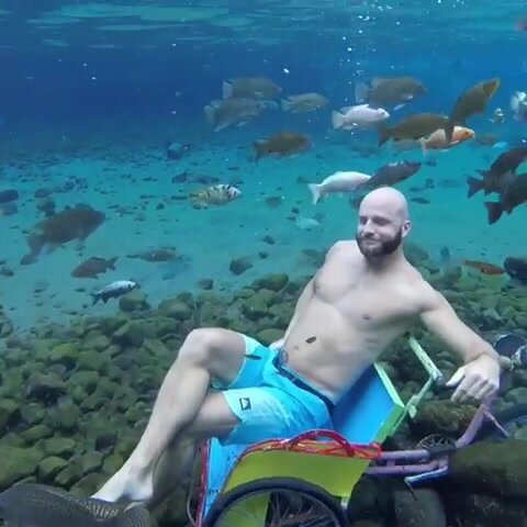 Bald bearded hunk posing barefaced underwater