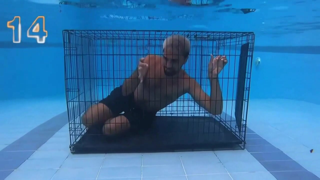Bleached arab barefaced underwater in cage