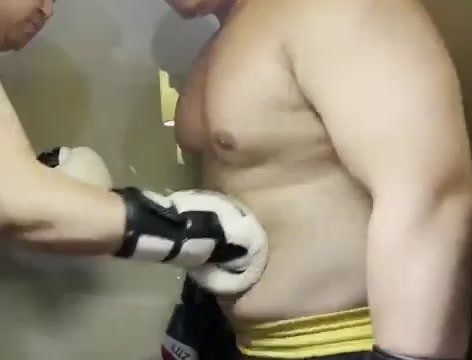 Boxing bear’s ab training