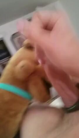 Scoobs gets his plush mouth white