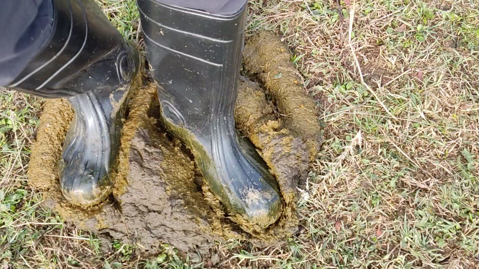 Rubber boots vs cowshit - video 32