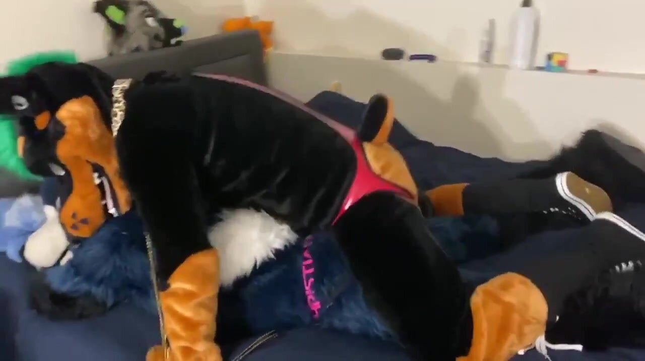 Fursut Sex