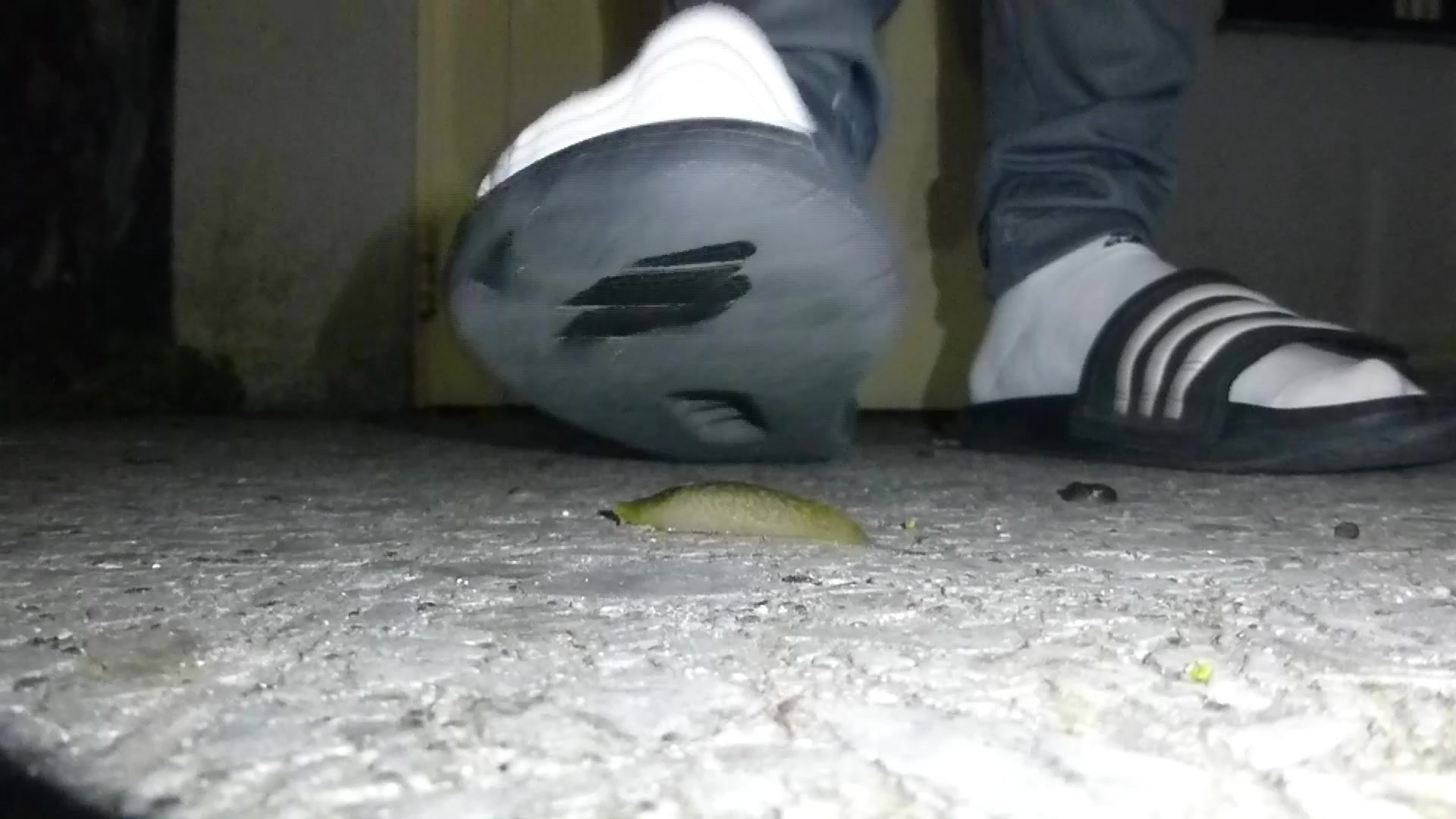 Slug Vs slides with socks