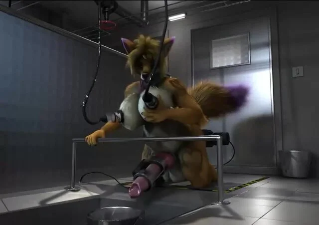 640px x 451px - Animated: Futa furry gets fucked by machine - ThisVid.com