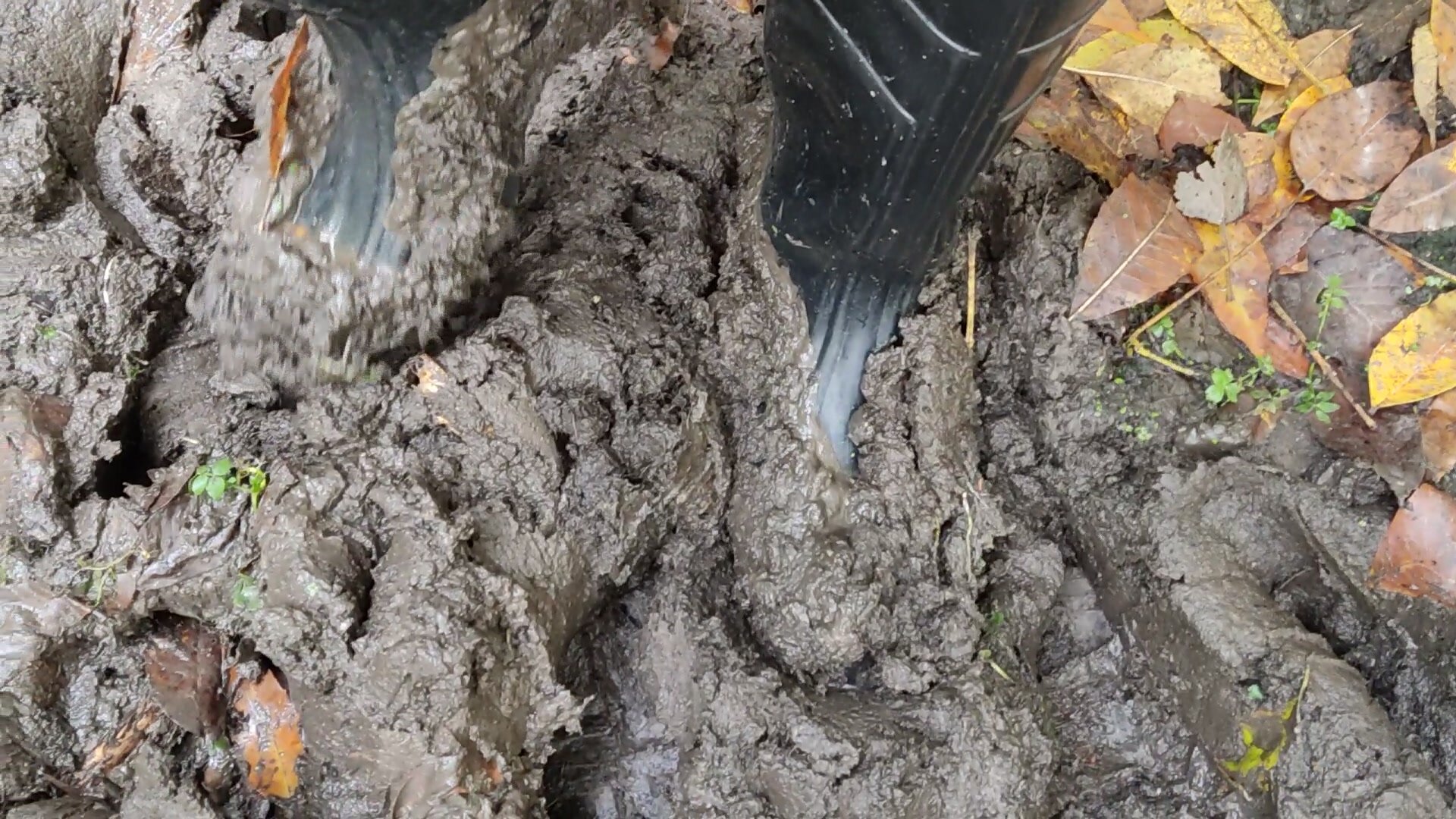 Rubber boots in mud - video 8