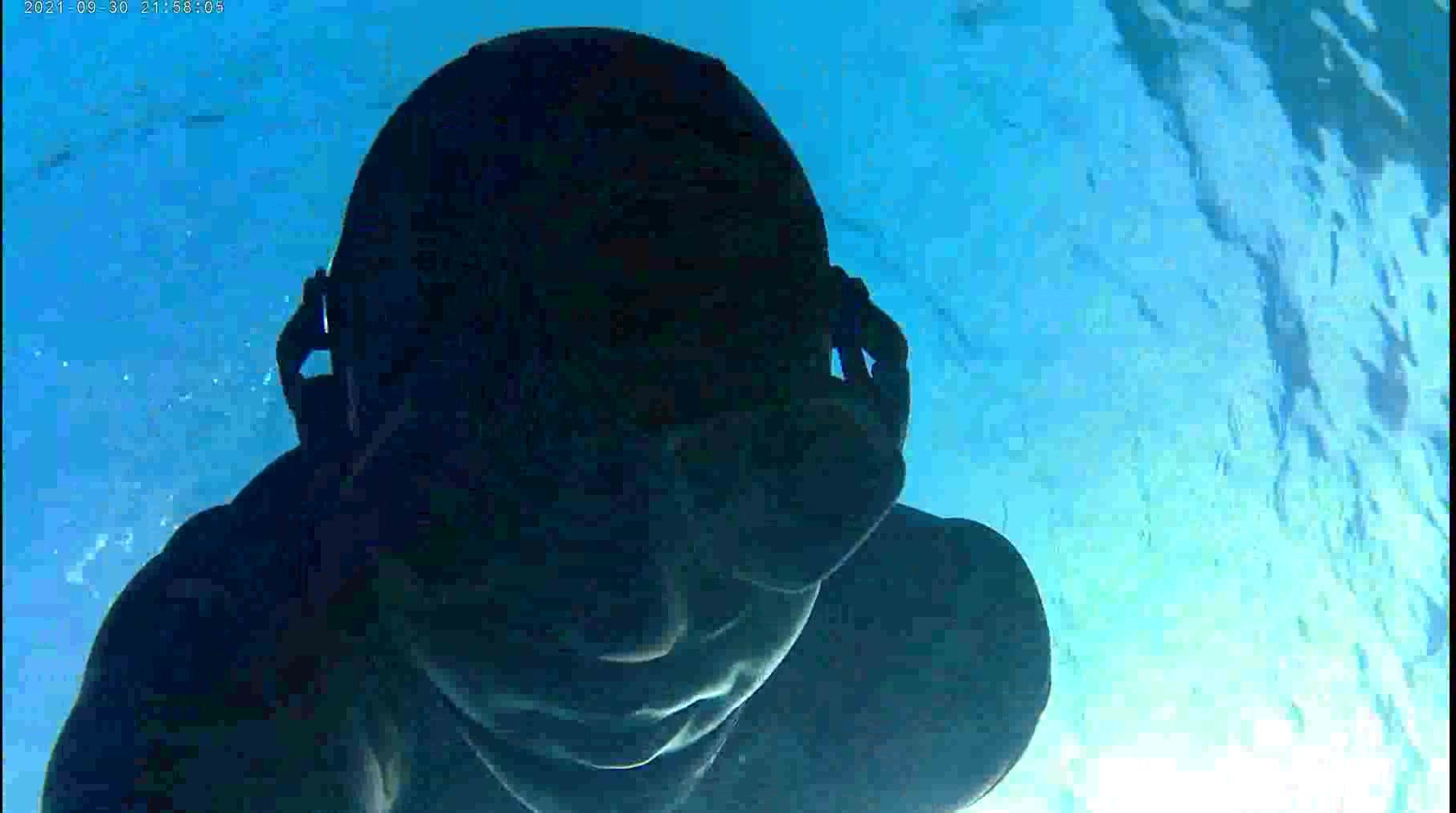 Cute freediver underwater in tight wetsuit - video 2