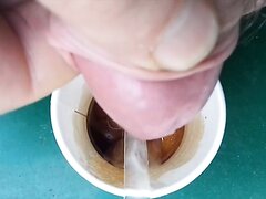 a coffee enhanced with  cum and pee
