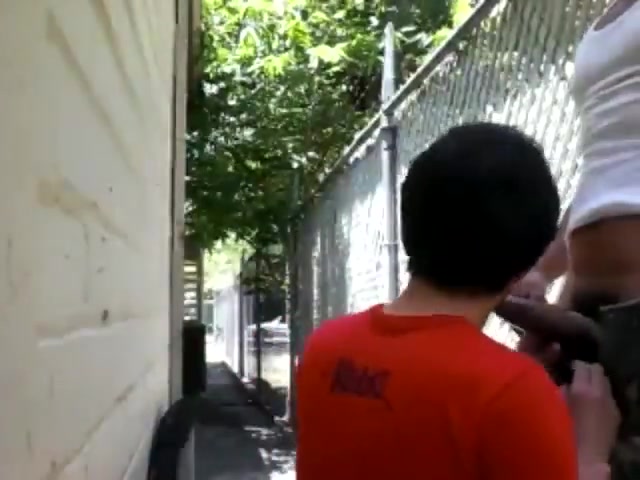Breed Me Fast In Alley