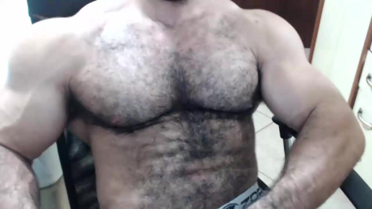 Muscled hairy guy