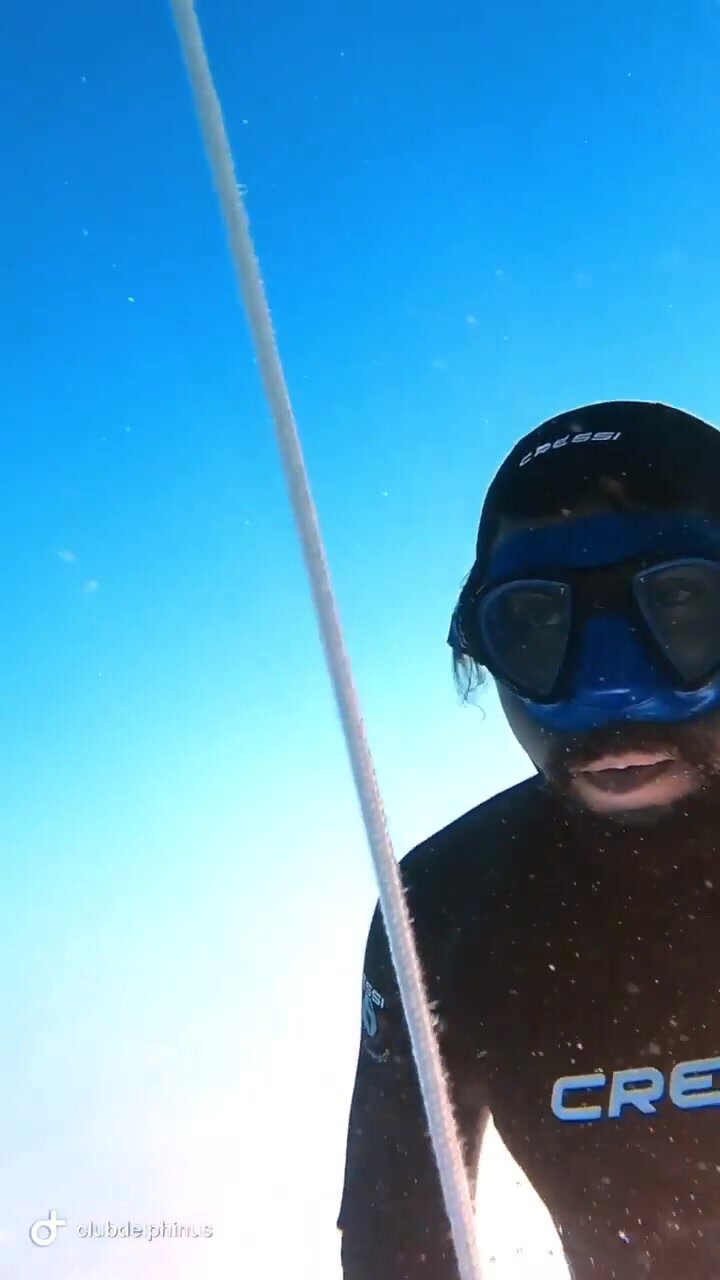 Cute freediver underwater in wetsuit