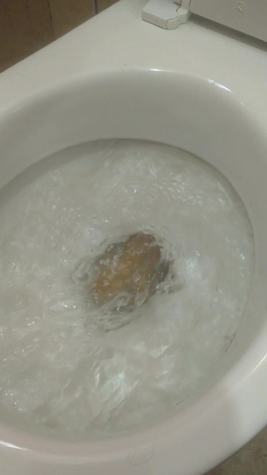 Large poop almost clogs my toilet