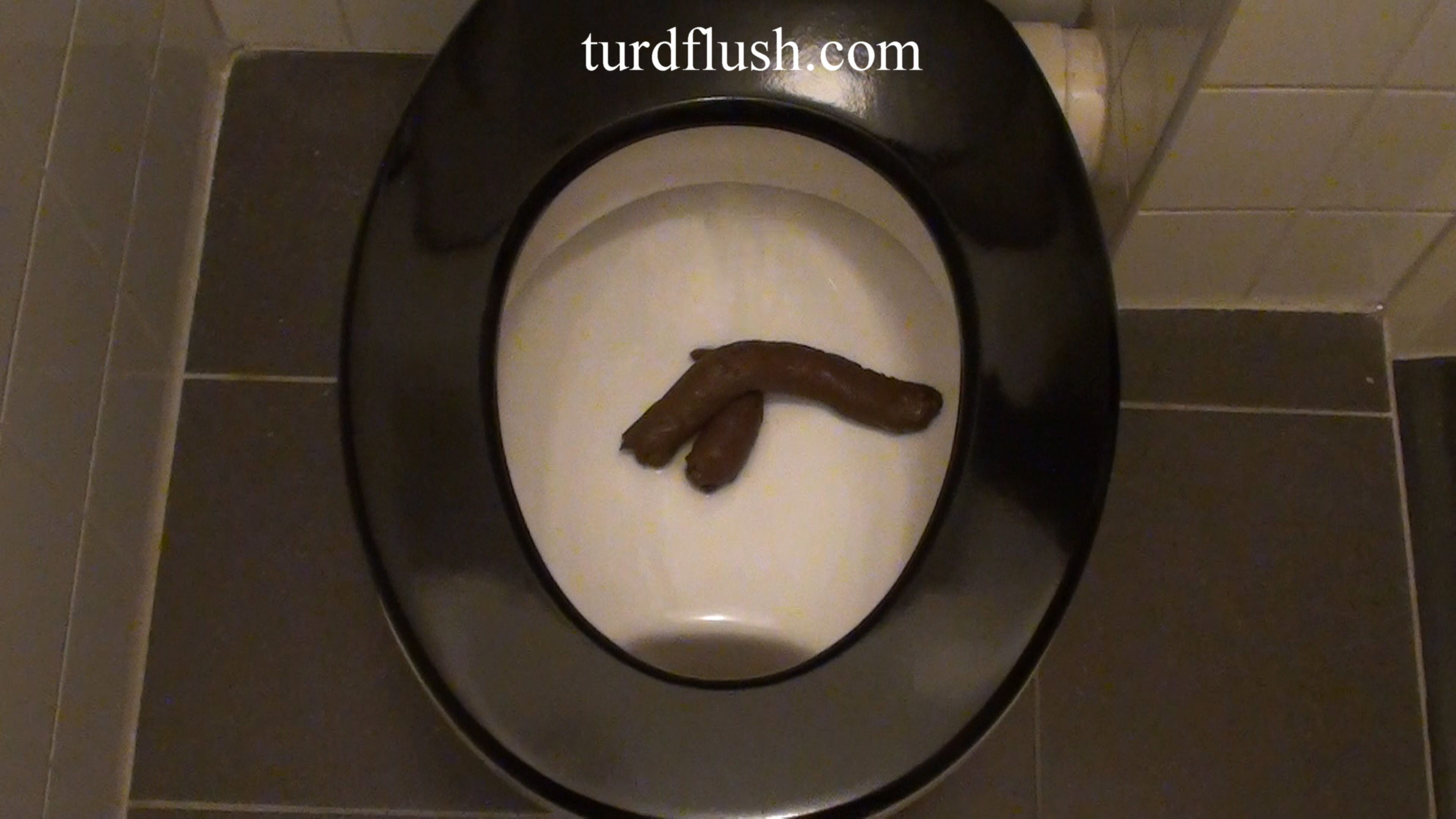 Turd Flush