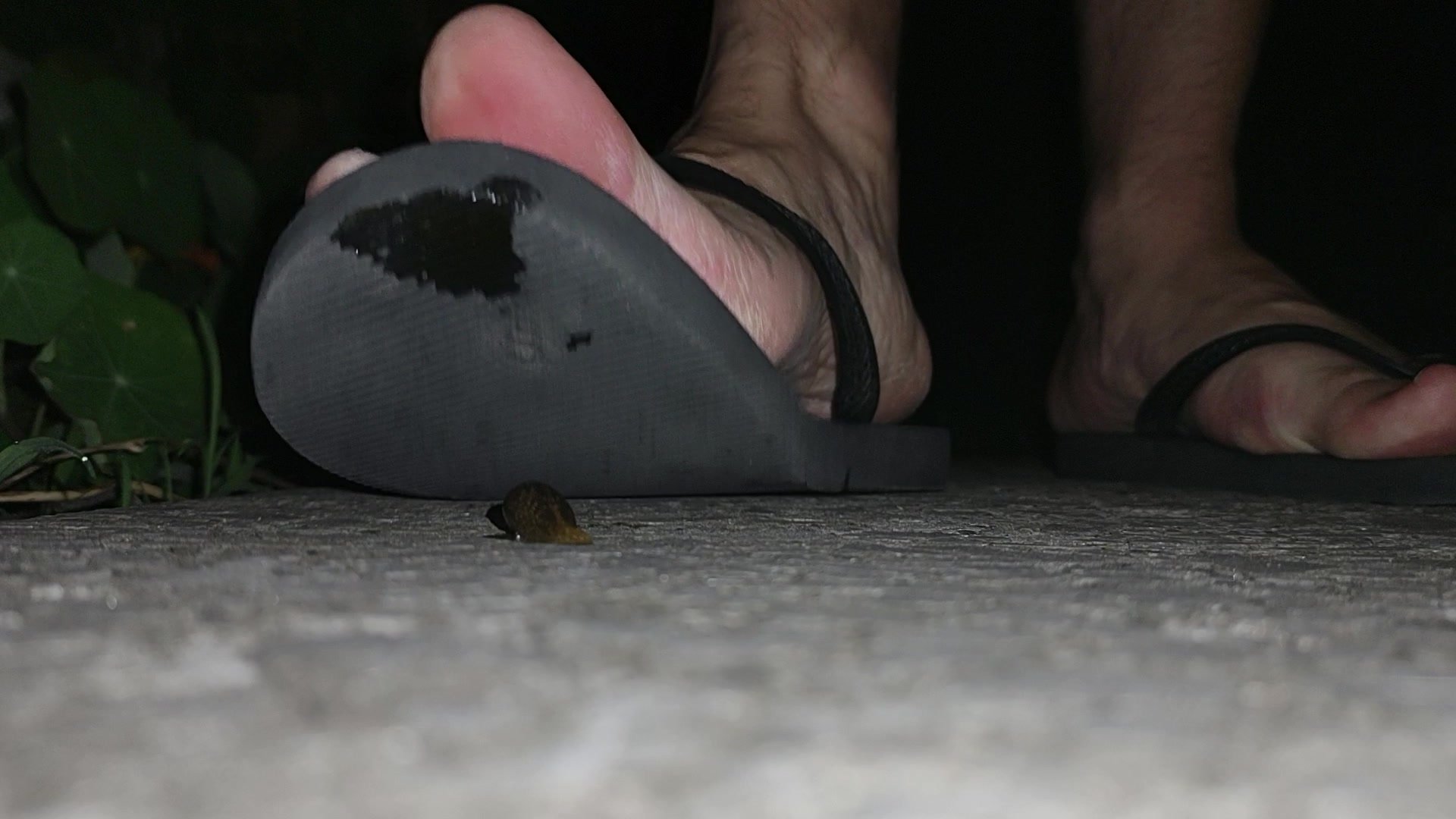 Slug Vs flip flops