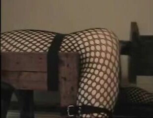 Tied up to fuck machine