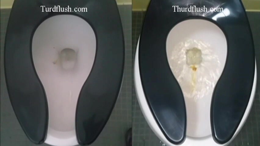 Turd Flush American Standard