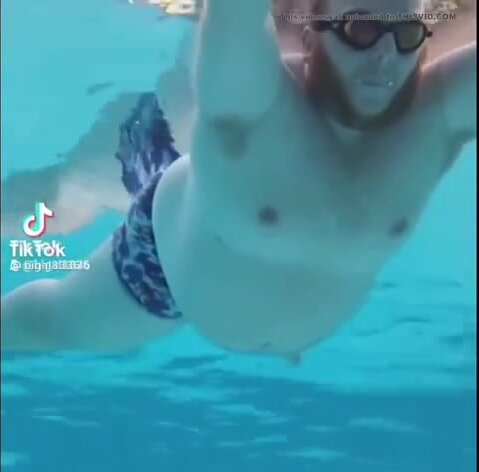 Underwater bear in pool