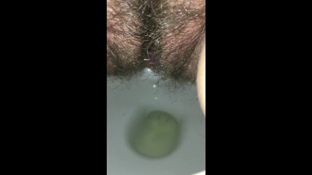 Poop in the toilet - video 2