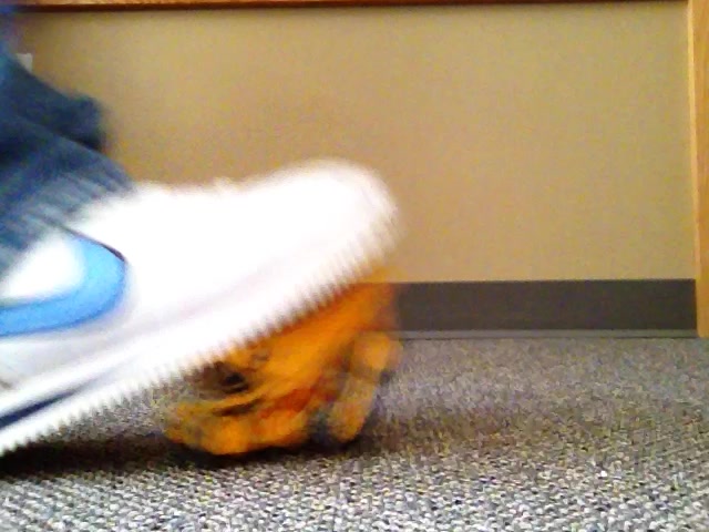 Nike Cortez Toy Crush