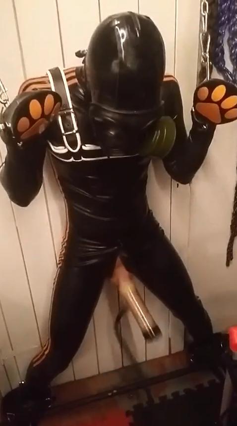 Puppy Gay Jerking Off For Milking Machine Whith Mask