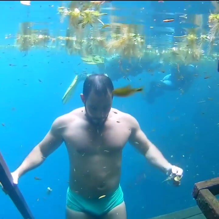 Brazilian hottie barefaced underwater in bulging speedo