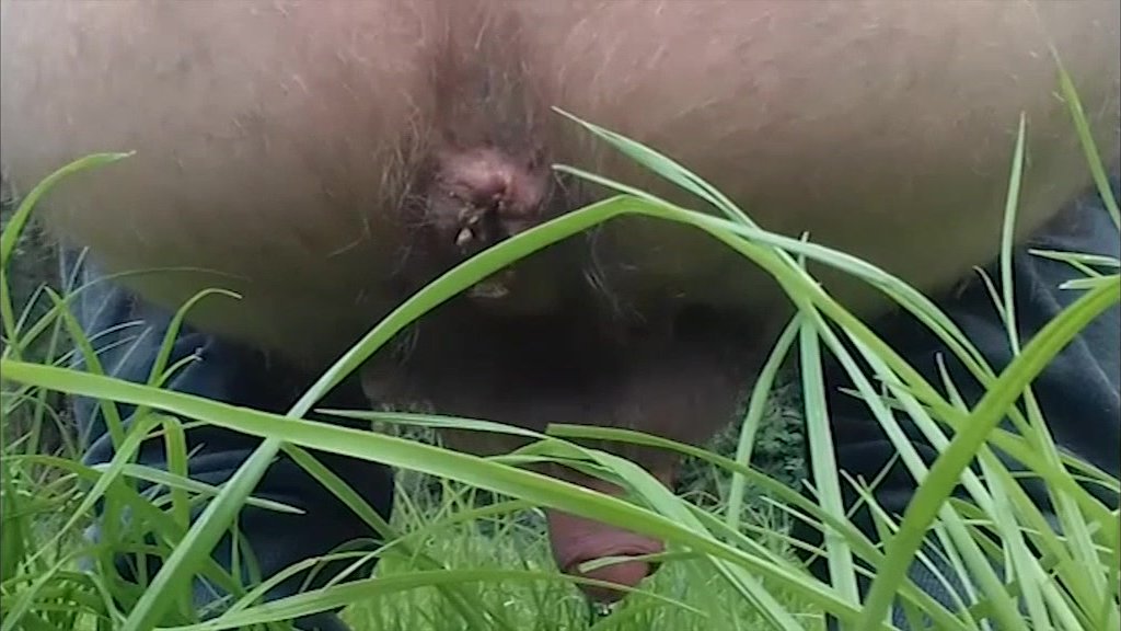 shitting on the grass in an open field
