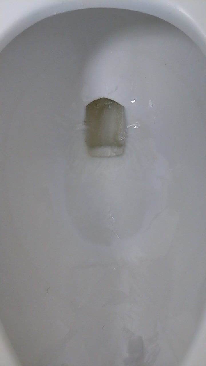 Poop flush