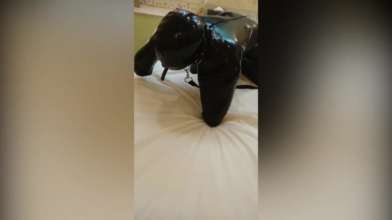 latex hogsack