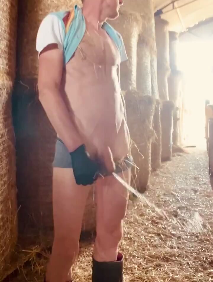 Irish farmer urinates in the barn