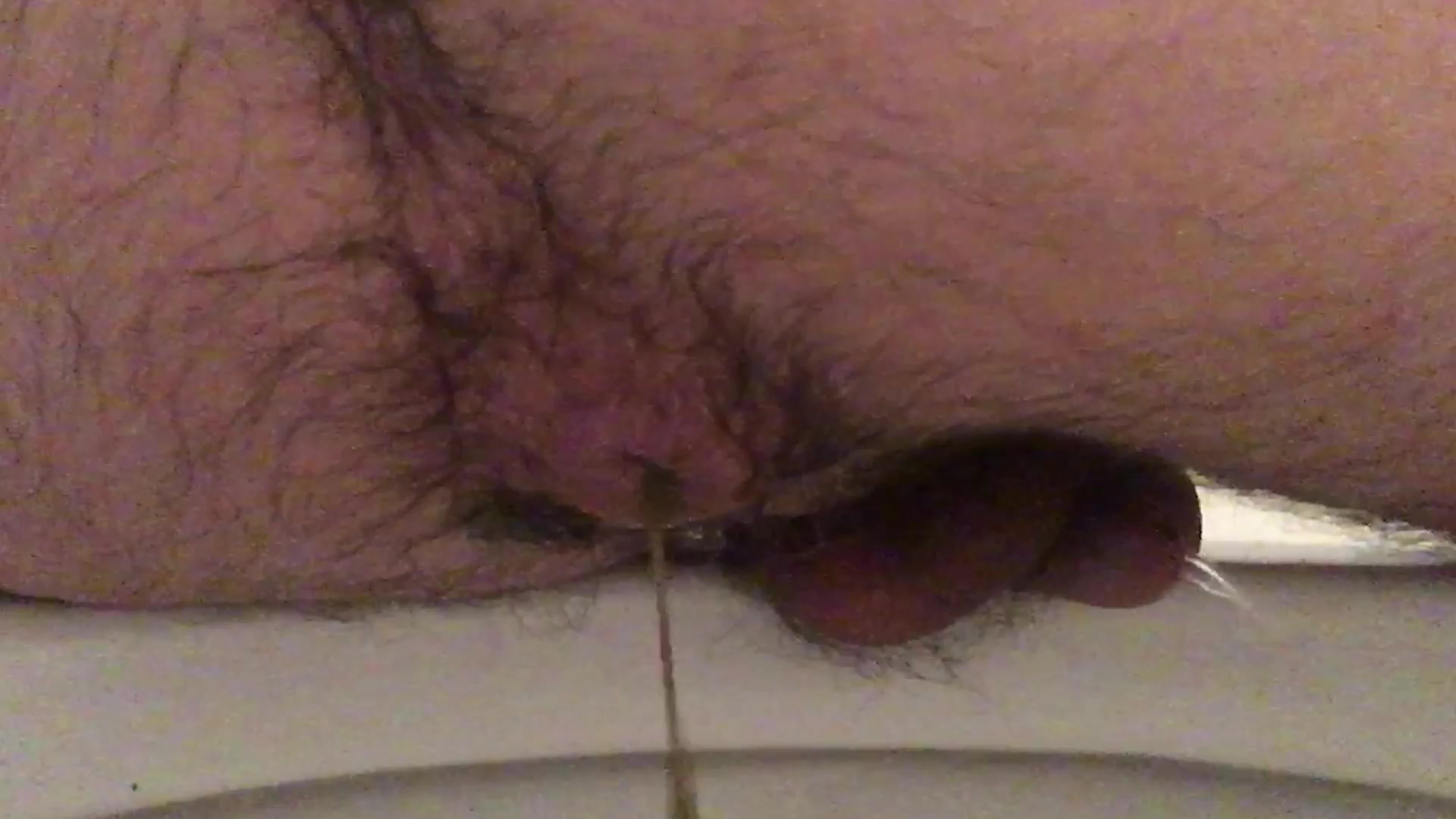 CUM SHIT  FART AND PISS