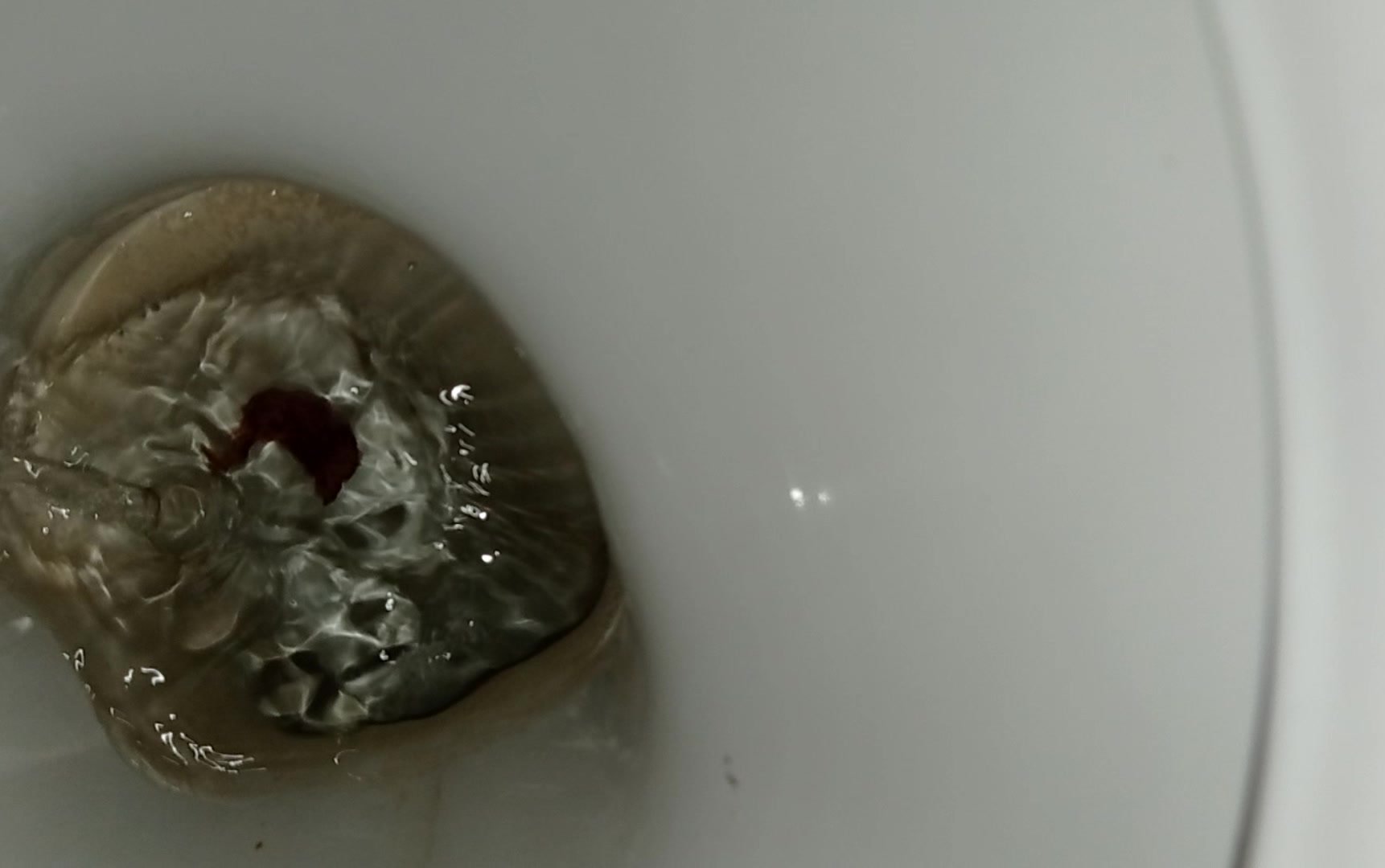 Poop in public toilet - video 2