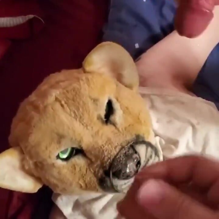 Puma fursuit gets a group muzzle facial
