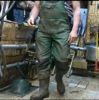 stinkender Melker in siffiger Latze