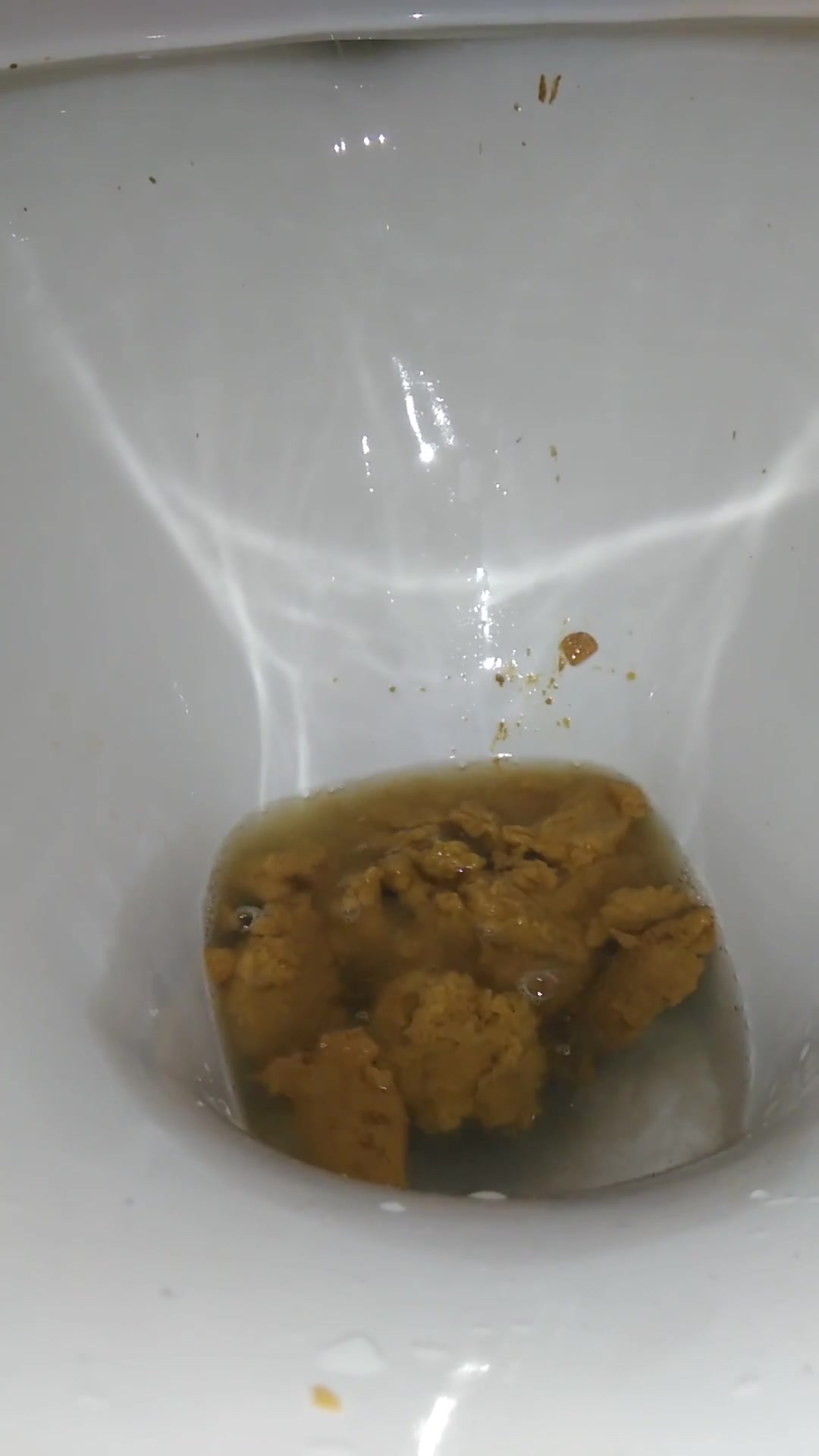 Farty dump on friends toilet after eating kebabs the night before