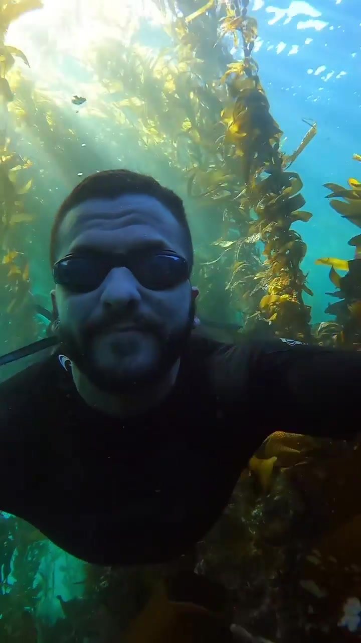Bearded cutie underwater with goggles