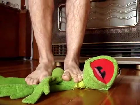 Kermit Trampled and Crushed