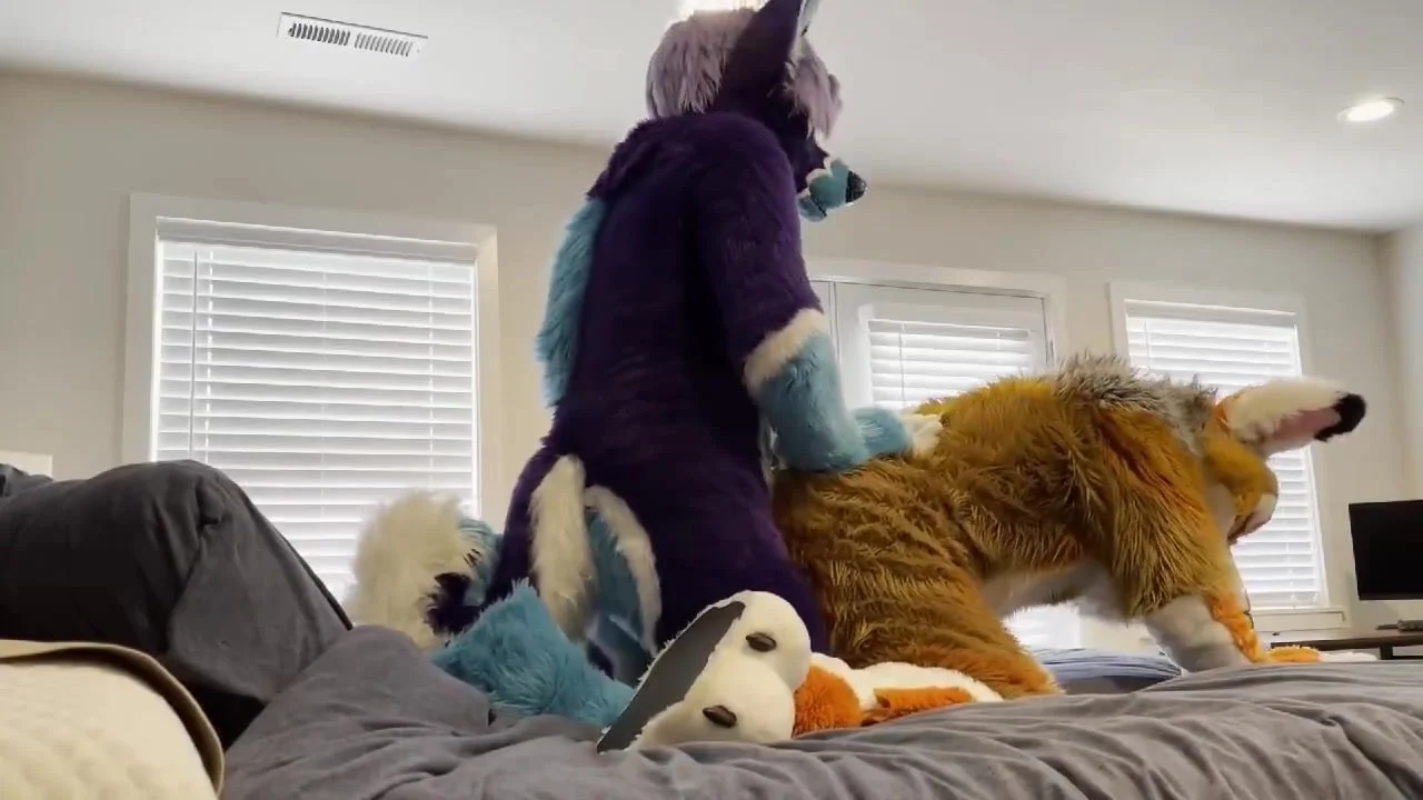 Fursuit sex - video 35 - ThisVid.com на русском