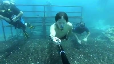 Arab barefaced cutie freediving underwater
