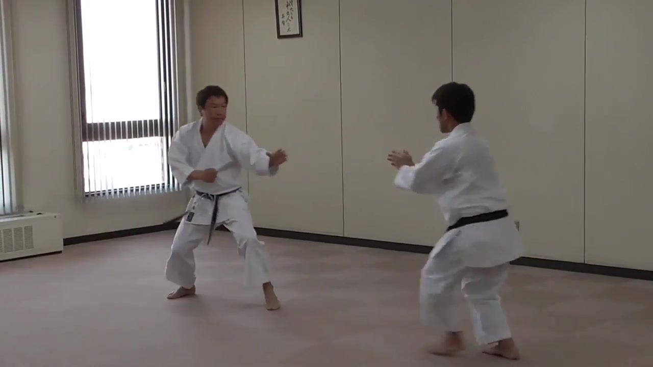 karate sensei demo