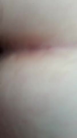 married bear fucked in the woods