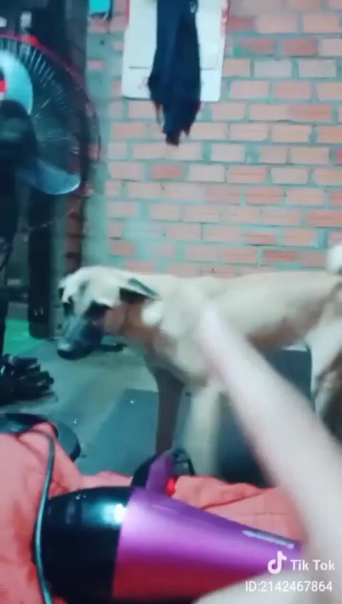 Hhhvghnbbnnm