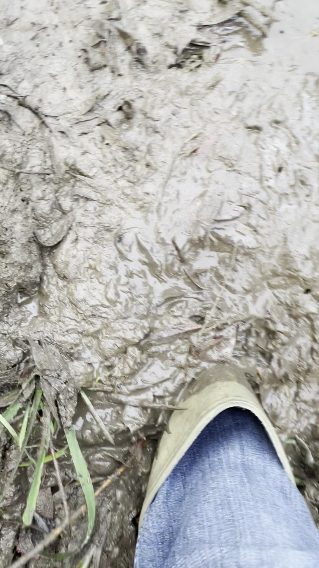 Muddy fun