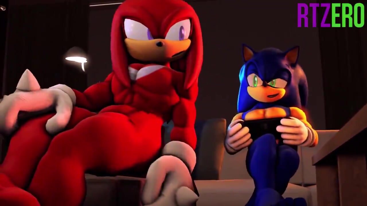 Sonic and Knuckles gaming