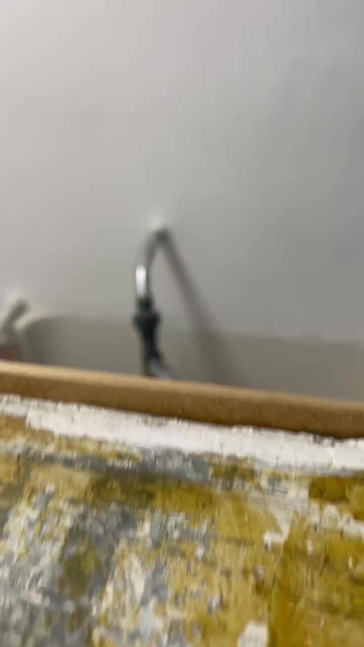 Real Shower spy
